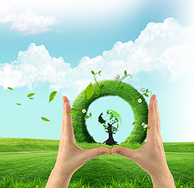 企業(yè)戰略插圖2